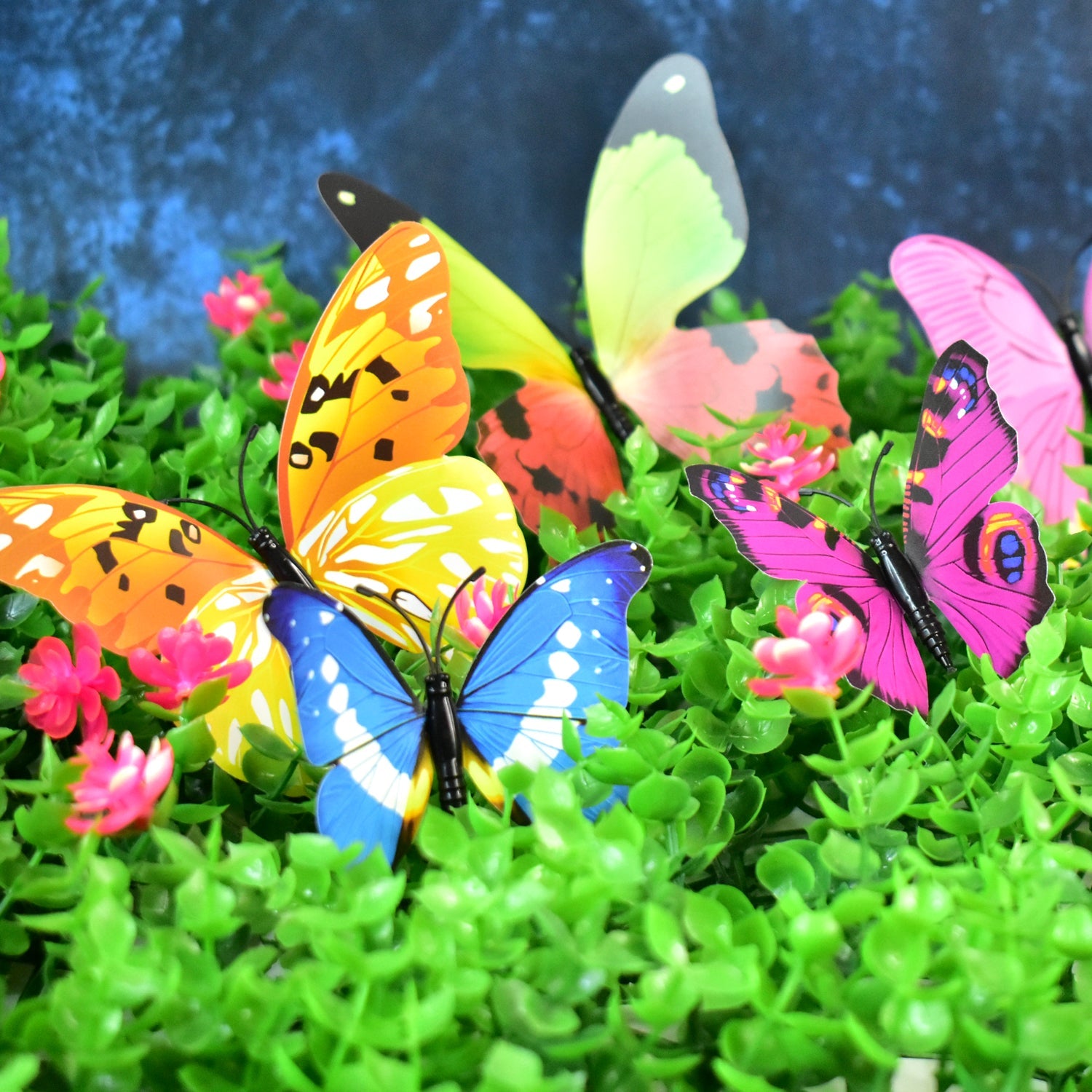 Decorative Colorful Butterfly Wall Stickers (12 Pc / Set) Decorative Colorful Butterfly Wall Stickers (12 Pc / Set)